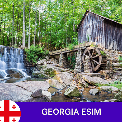 GEORGIA